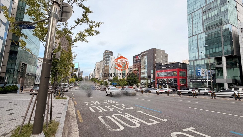 사진 15