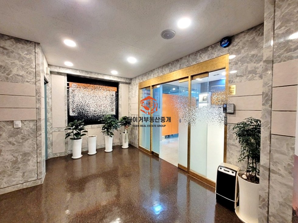 사진 13
