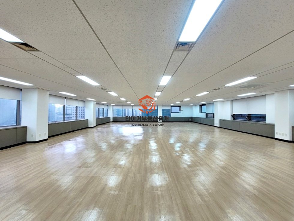 사진 5
