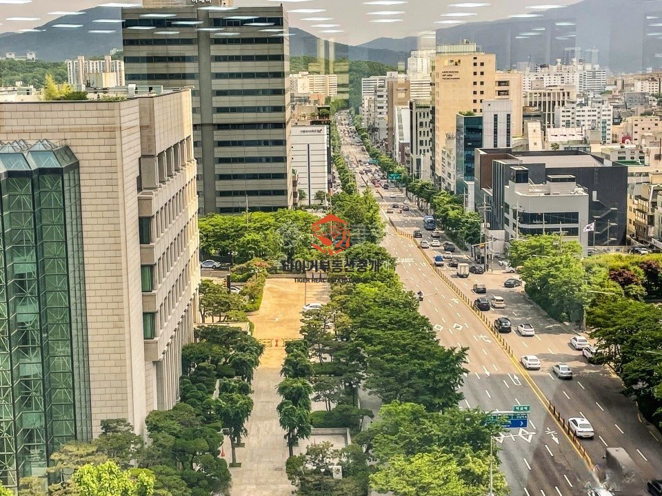 사진 13