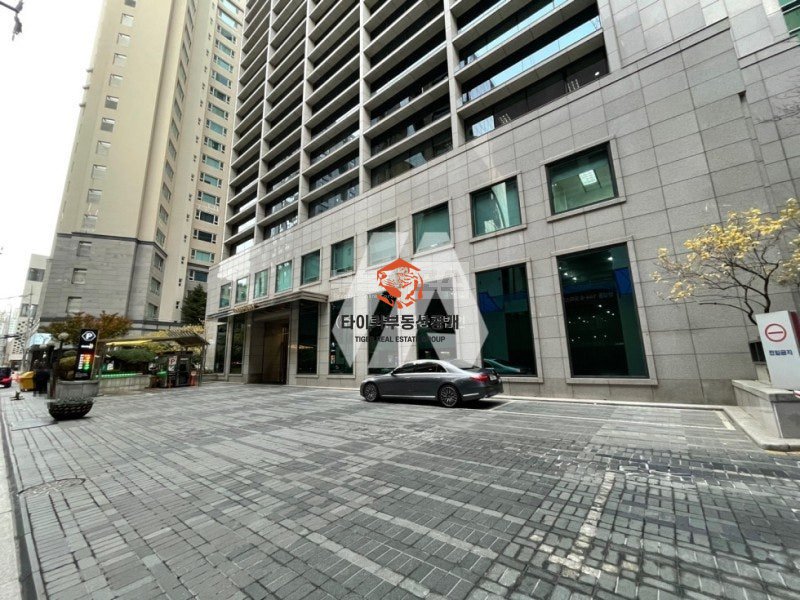 사진 13