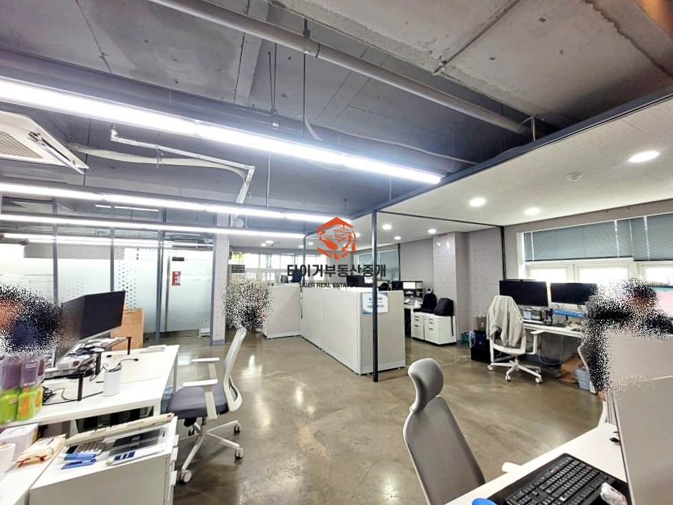 사진 6