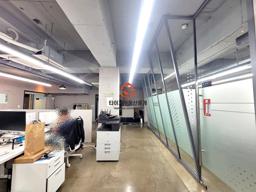 사진 11