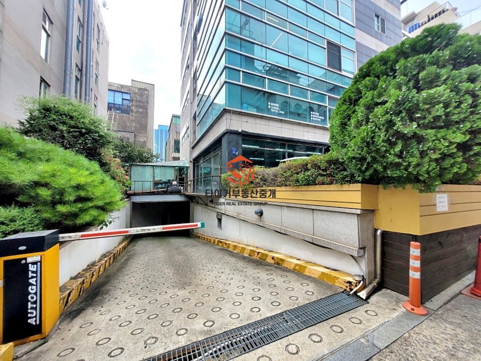 사진 17