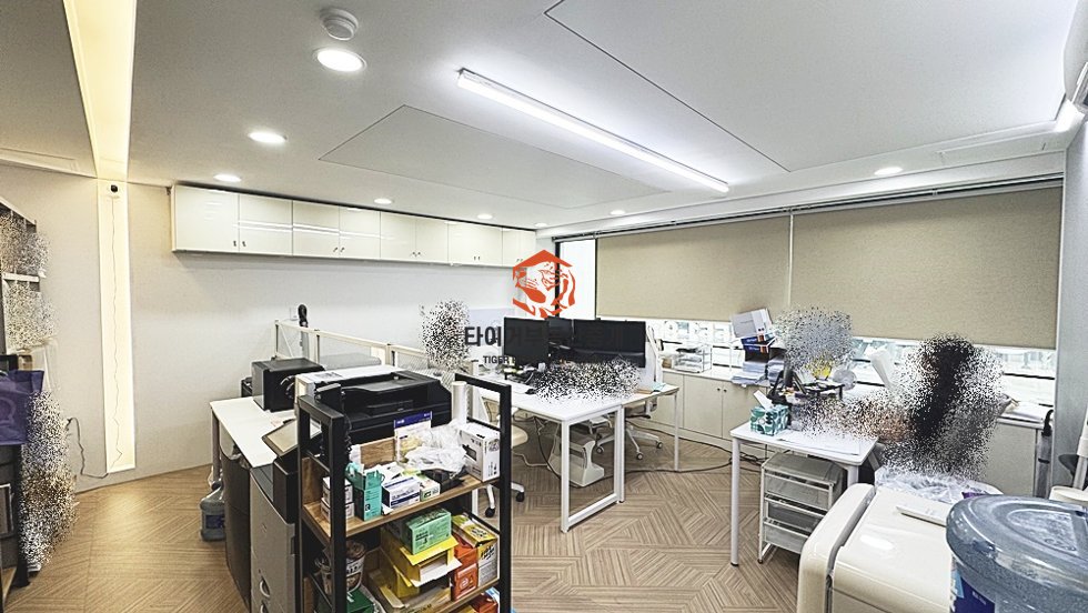 사진 5