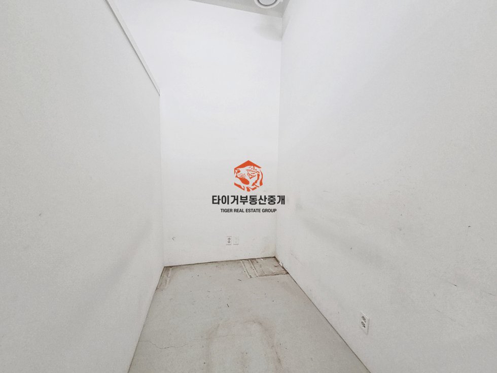 사진 9