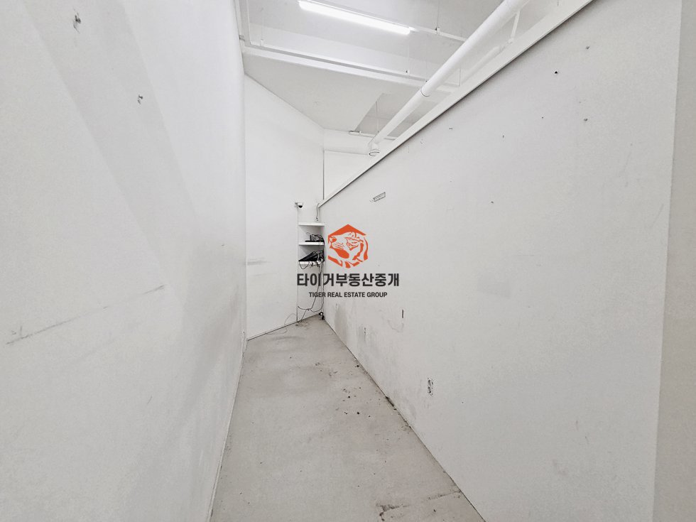 사진 10