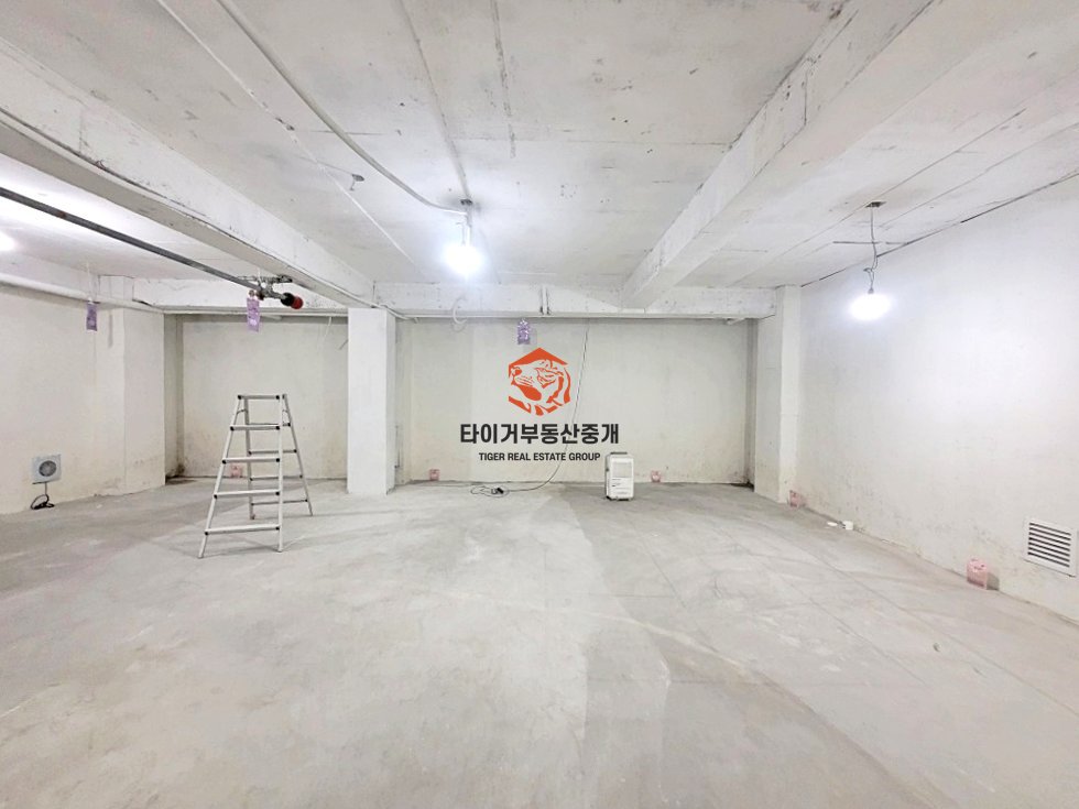 사진 6