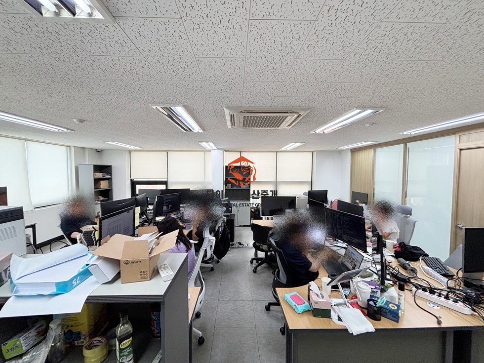 사진 5