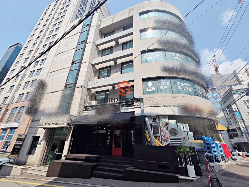 사진 11