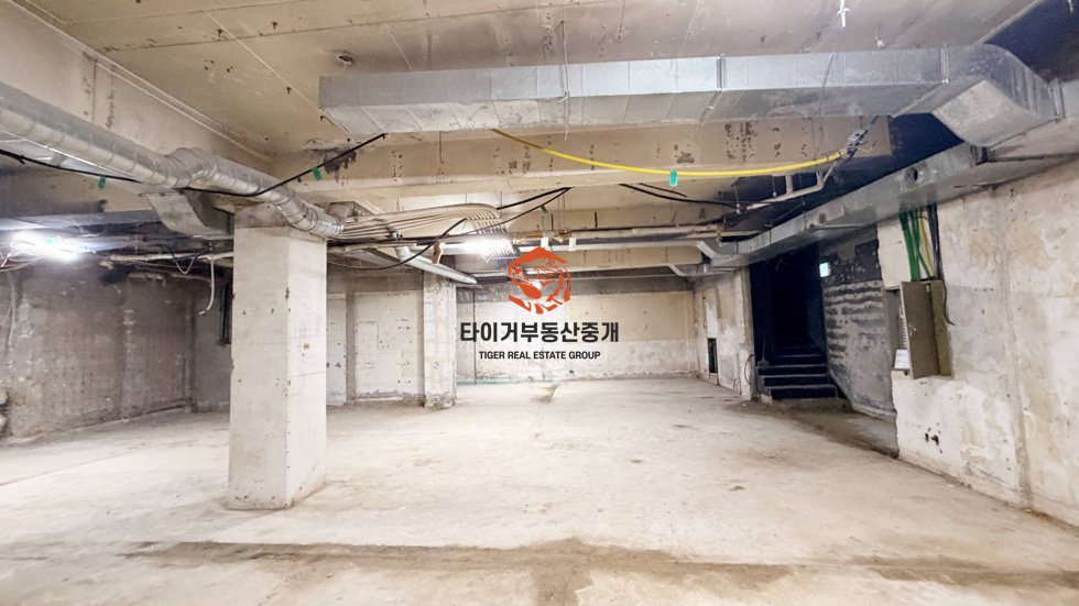사진 6