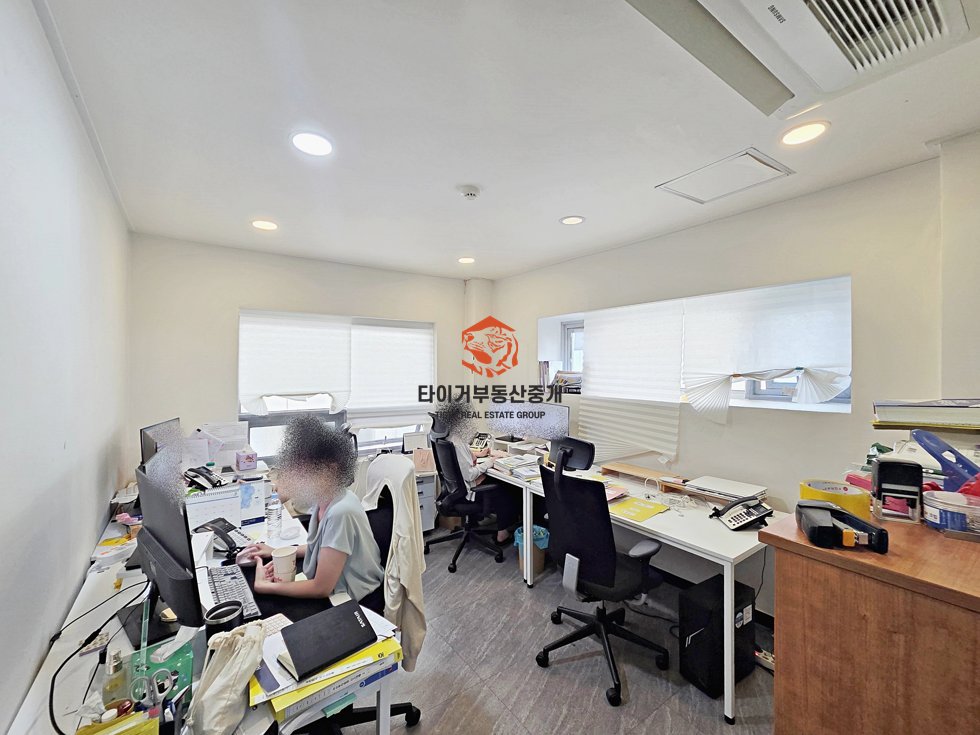 사진 5