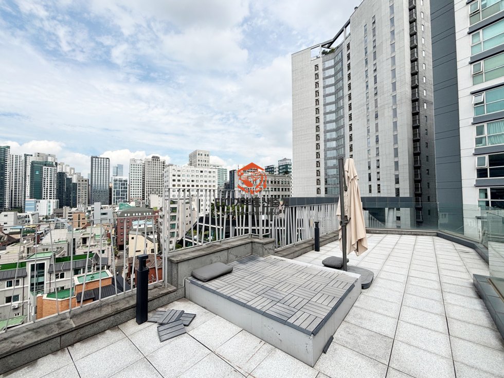 사진 12