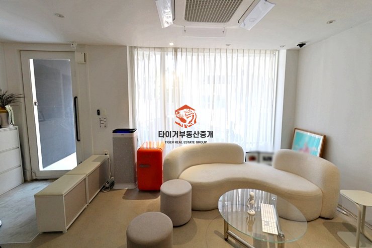 사진 5