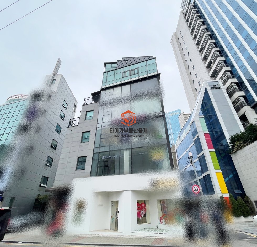 사진 9