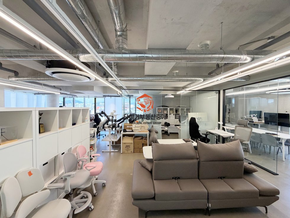 사진 6