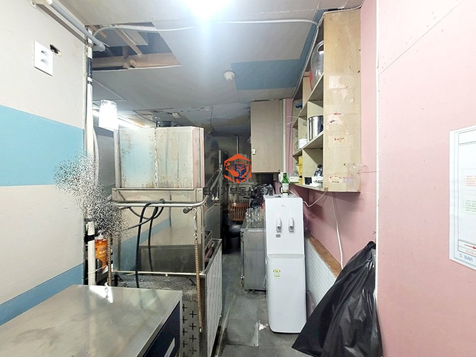 사진 11
