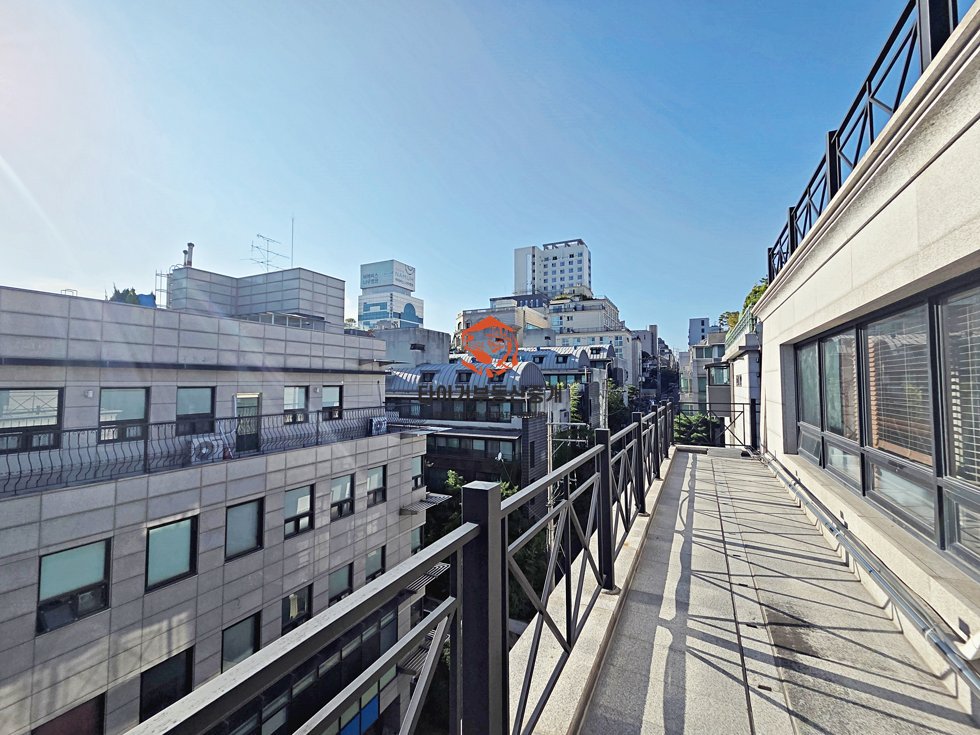 사진 11