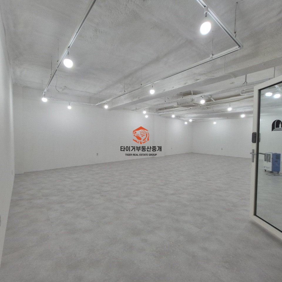 신사동