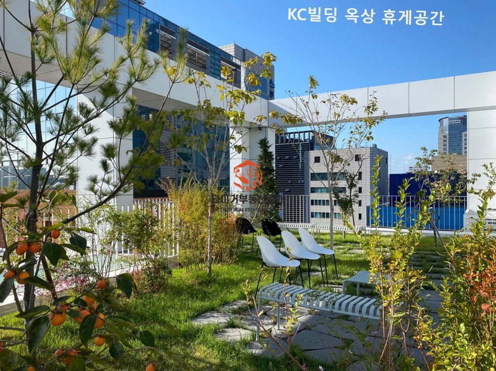사진 12