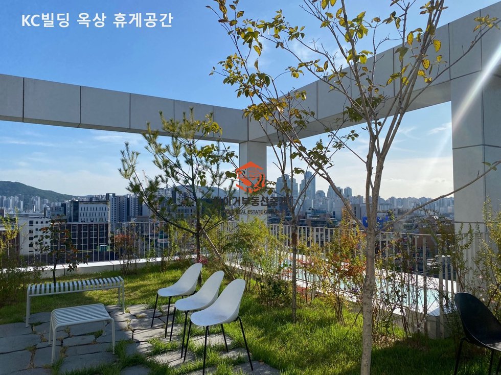 사진 13