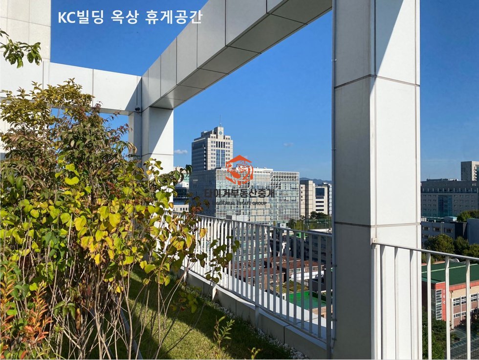 사진 14