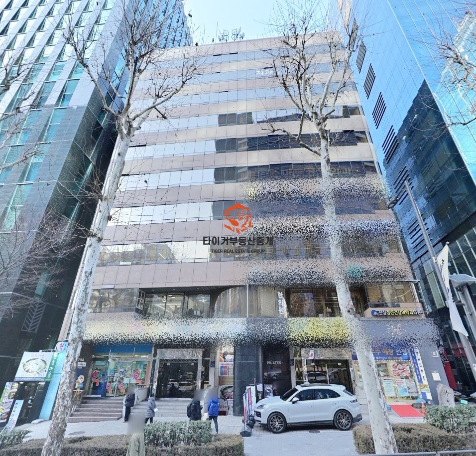 사진 12