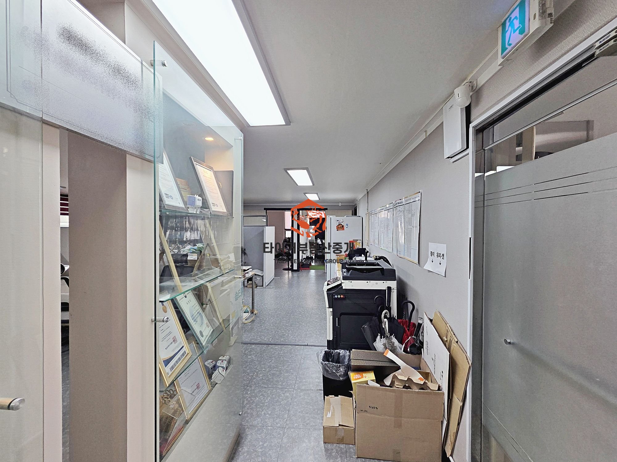 사진 15