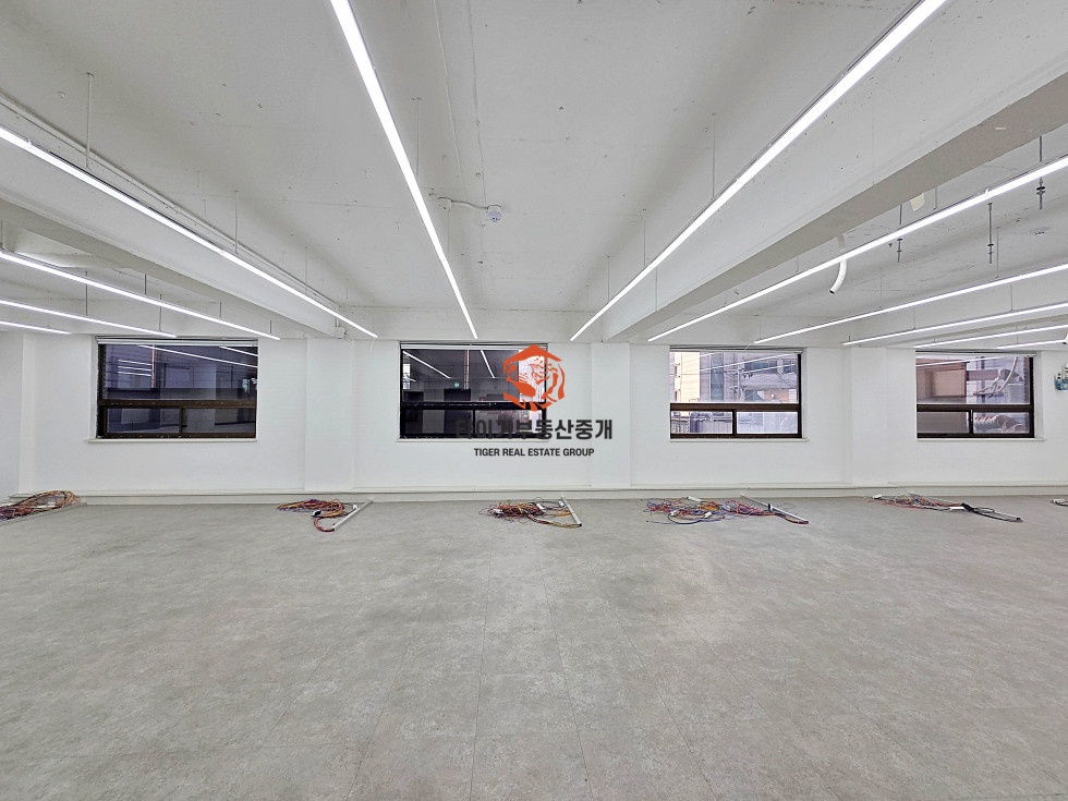 사진 3