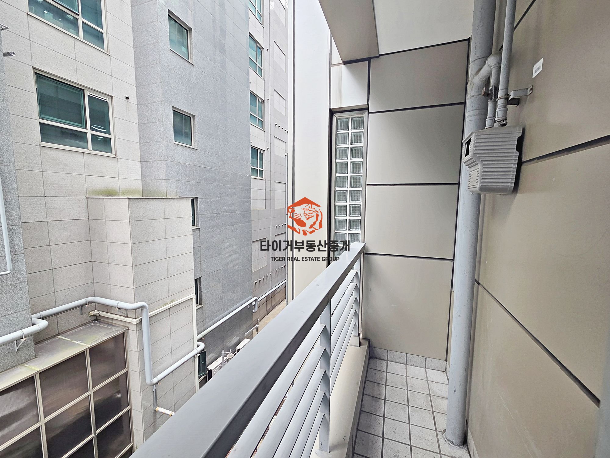 사진 9