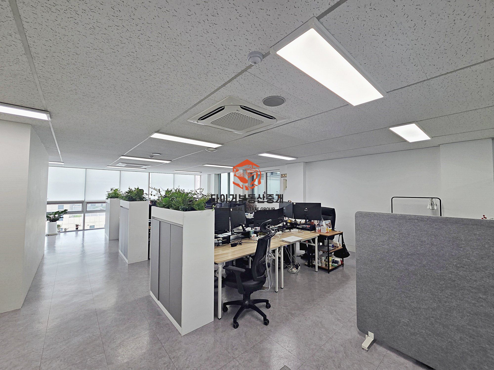 사진 7