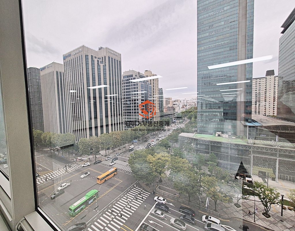 사진 13