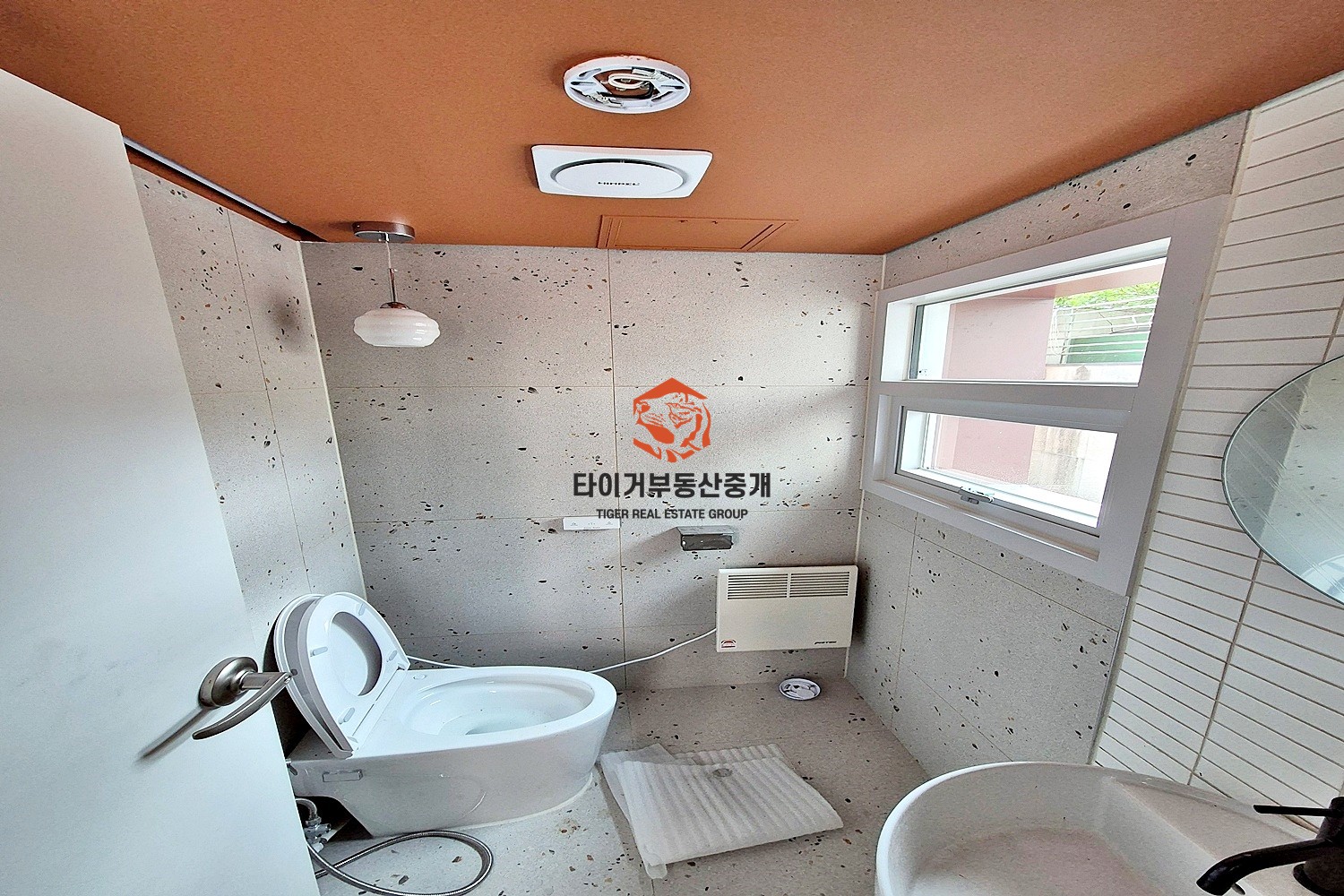 사진 5