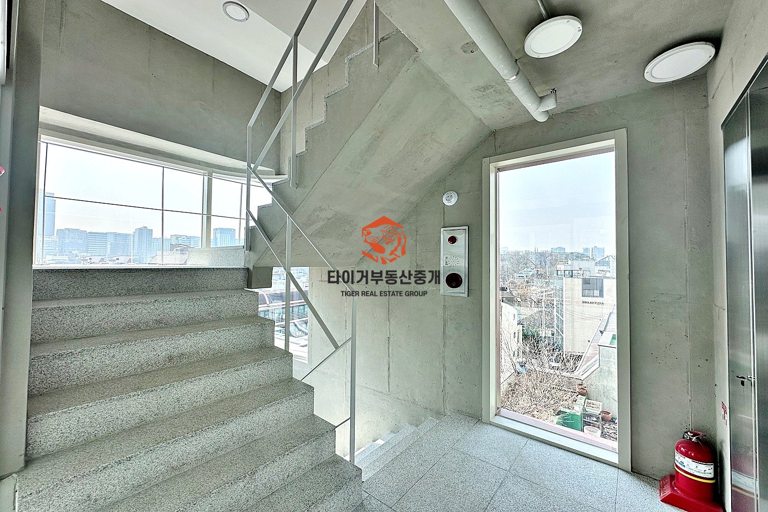 사진 6