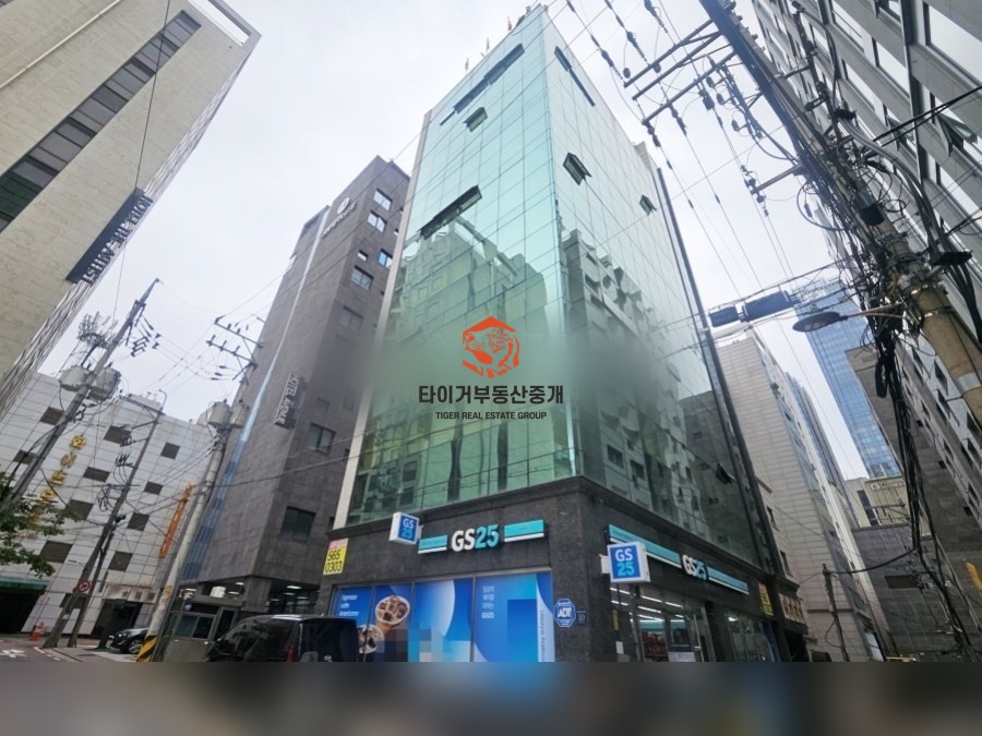사진 12