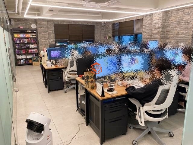 사진 6
