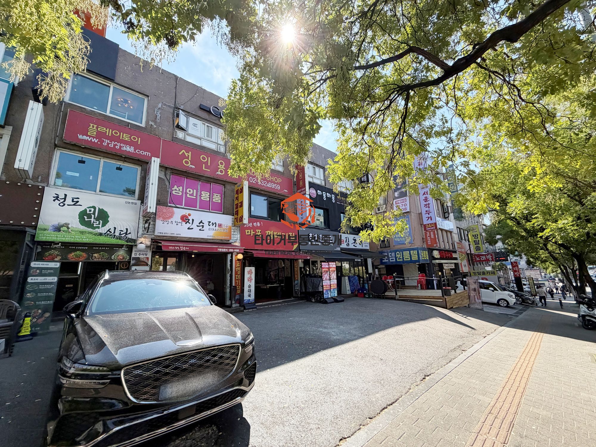 사진 9