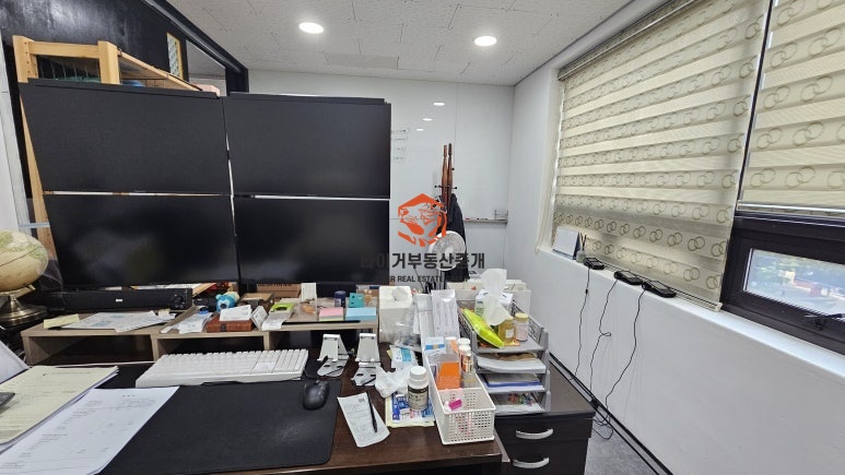 사진 6