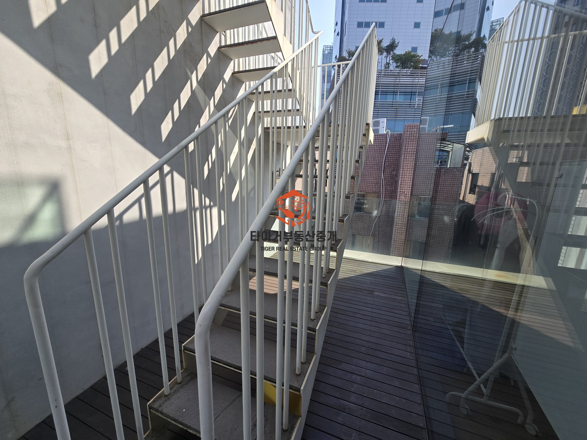 사진 19