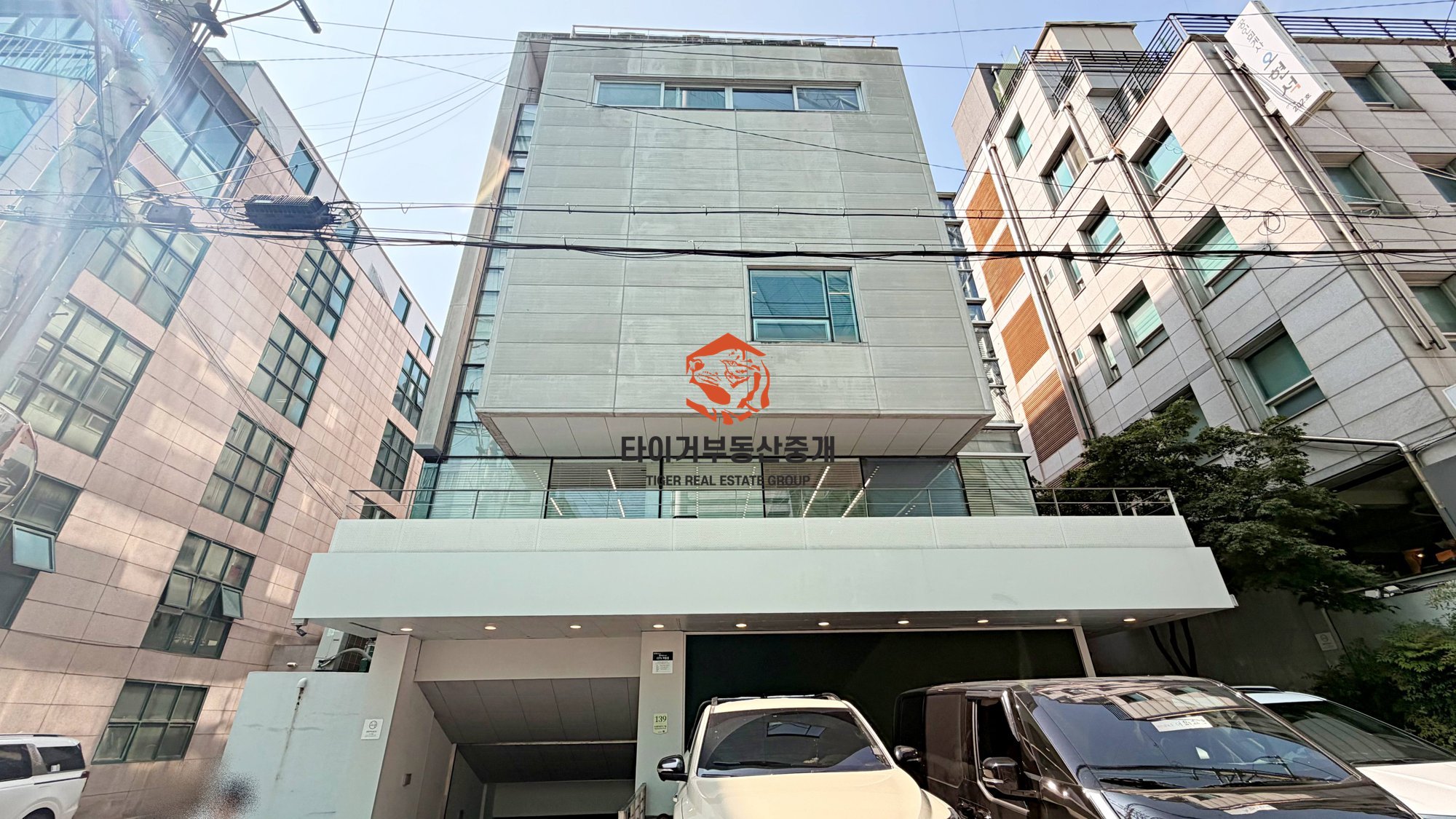 사진 12