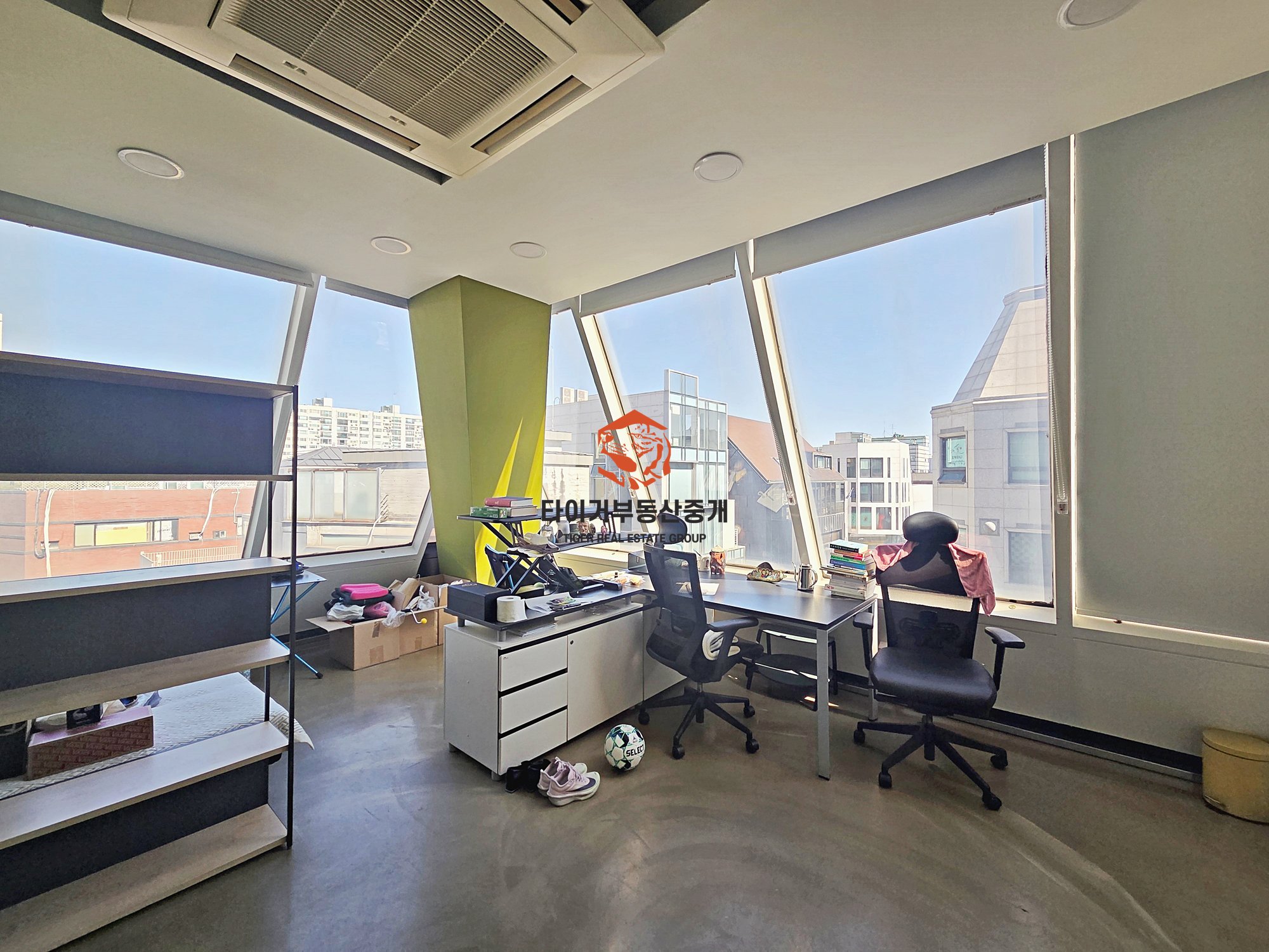 사진 6
