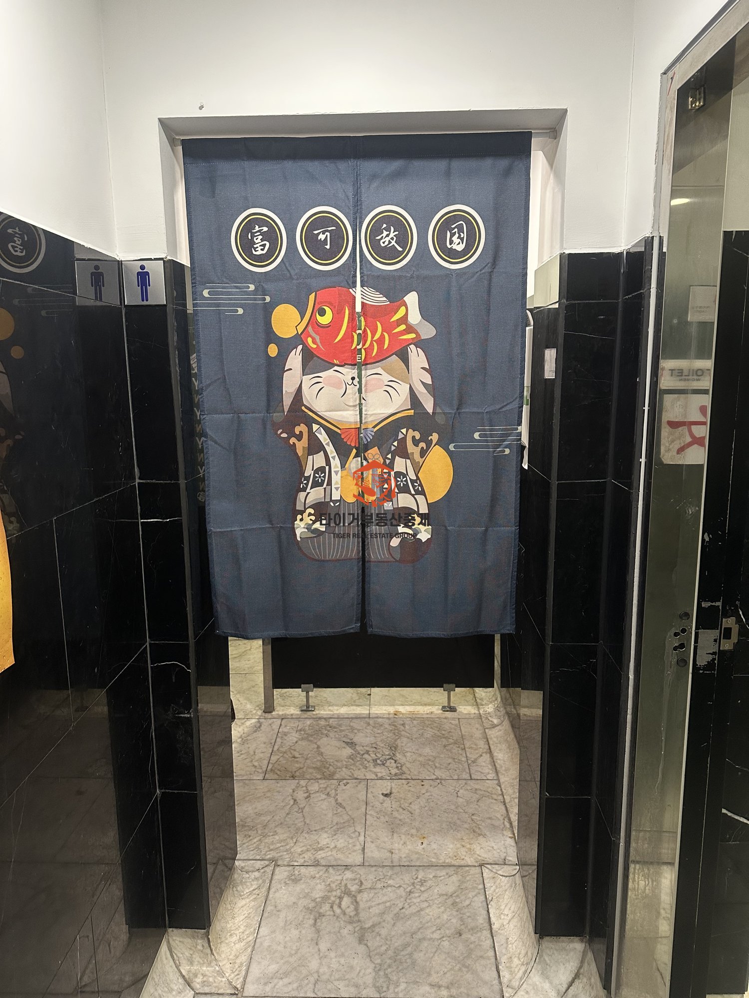 사진 15