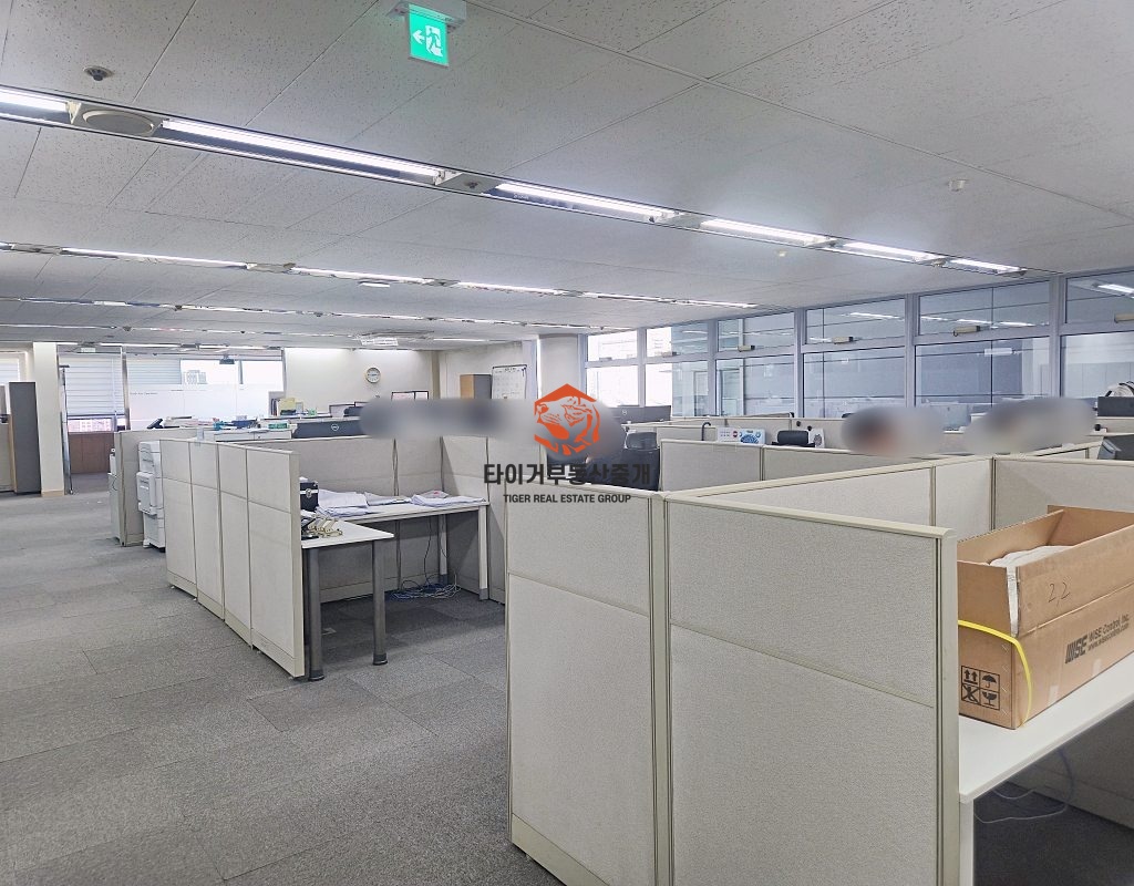 사진 6
