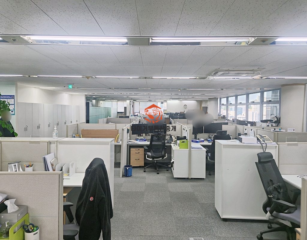 사진 7