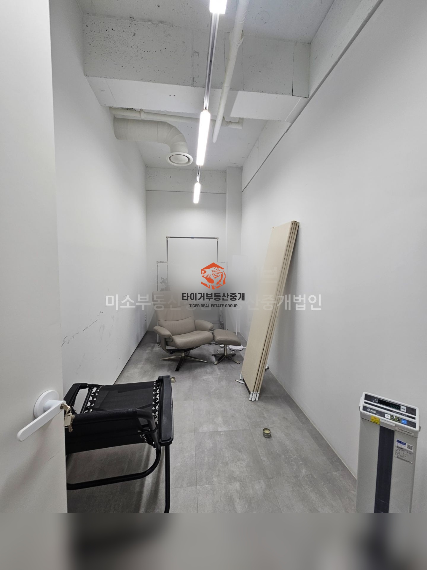 사진 5