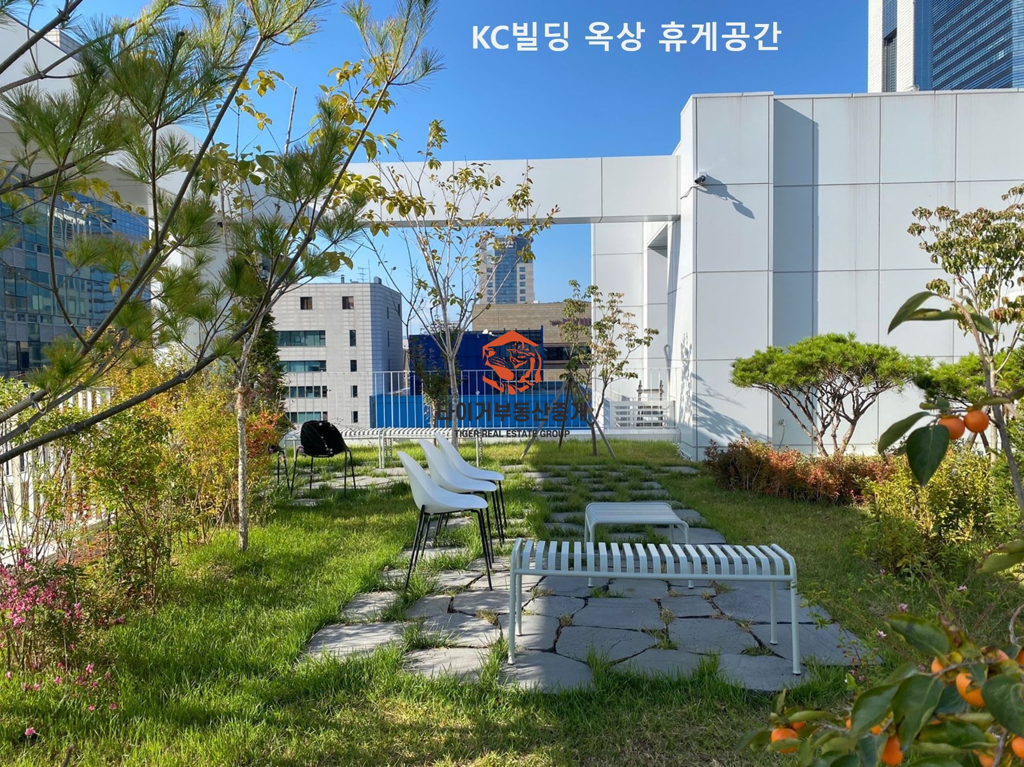 삼성역 60P 인테리어 사무실 임대 빠른입주 사진 16
