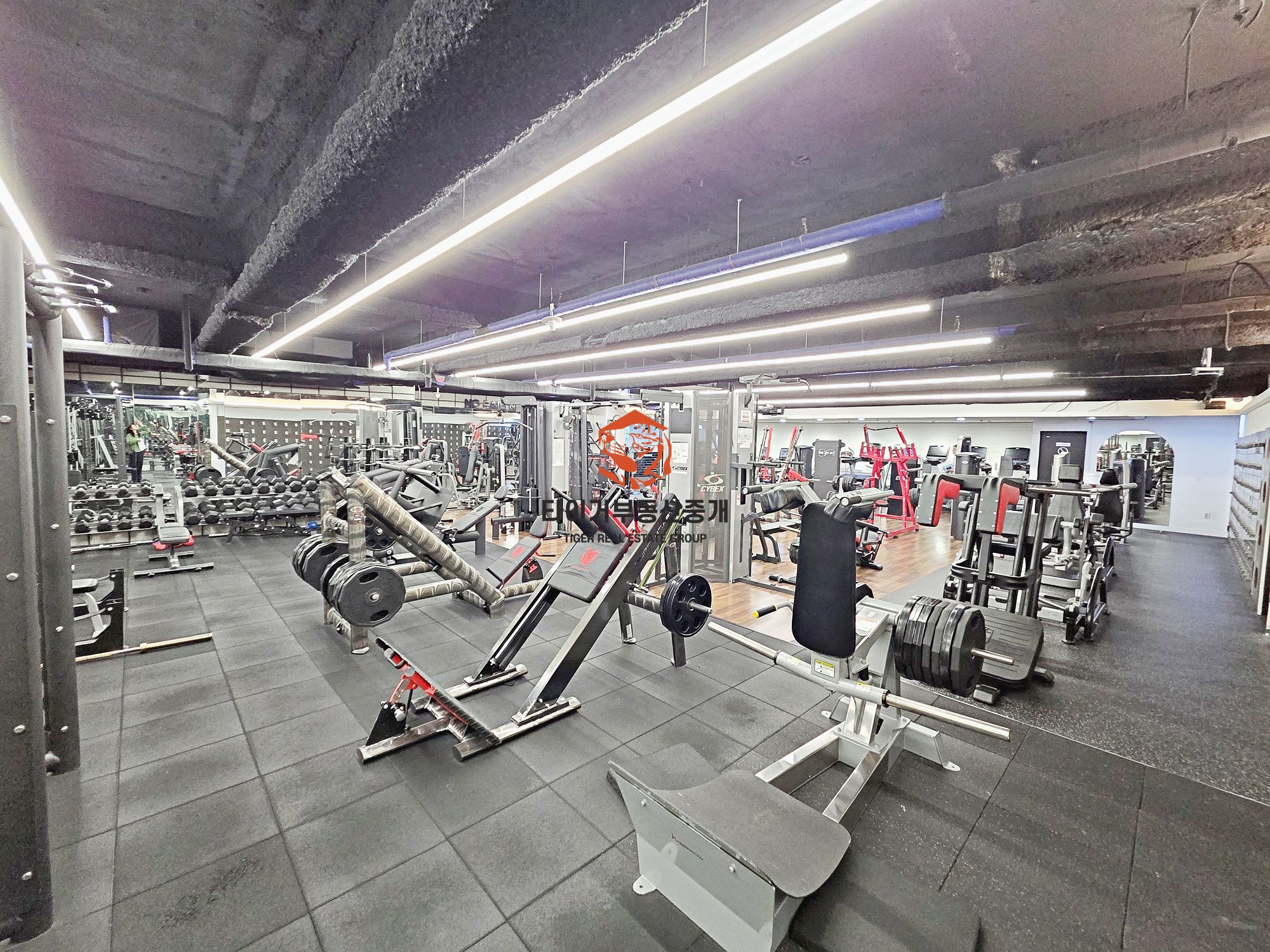 역삼역 역세권, 대로변, 환기 우수, 쾌적한 지하사무실 임대, 편리한 주차