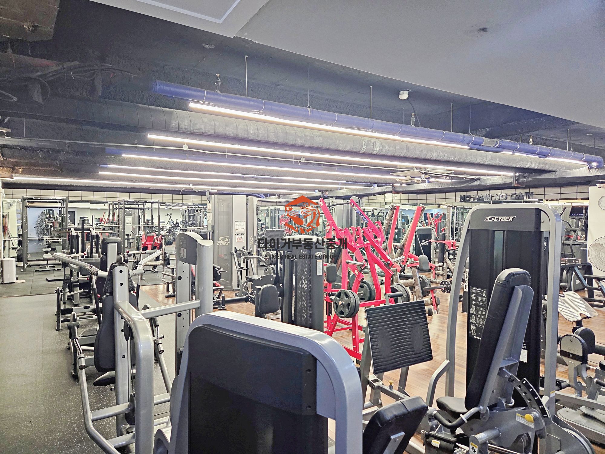 역삼역 역세권, 대로변, 환기 우수, 쾌적한 지하사무실 임대, 편리한 주차 사진 3