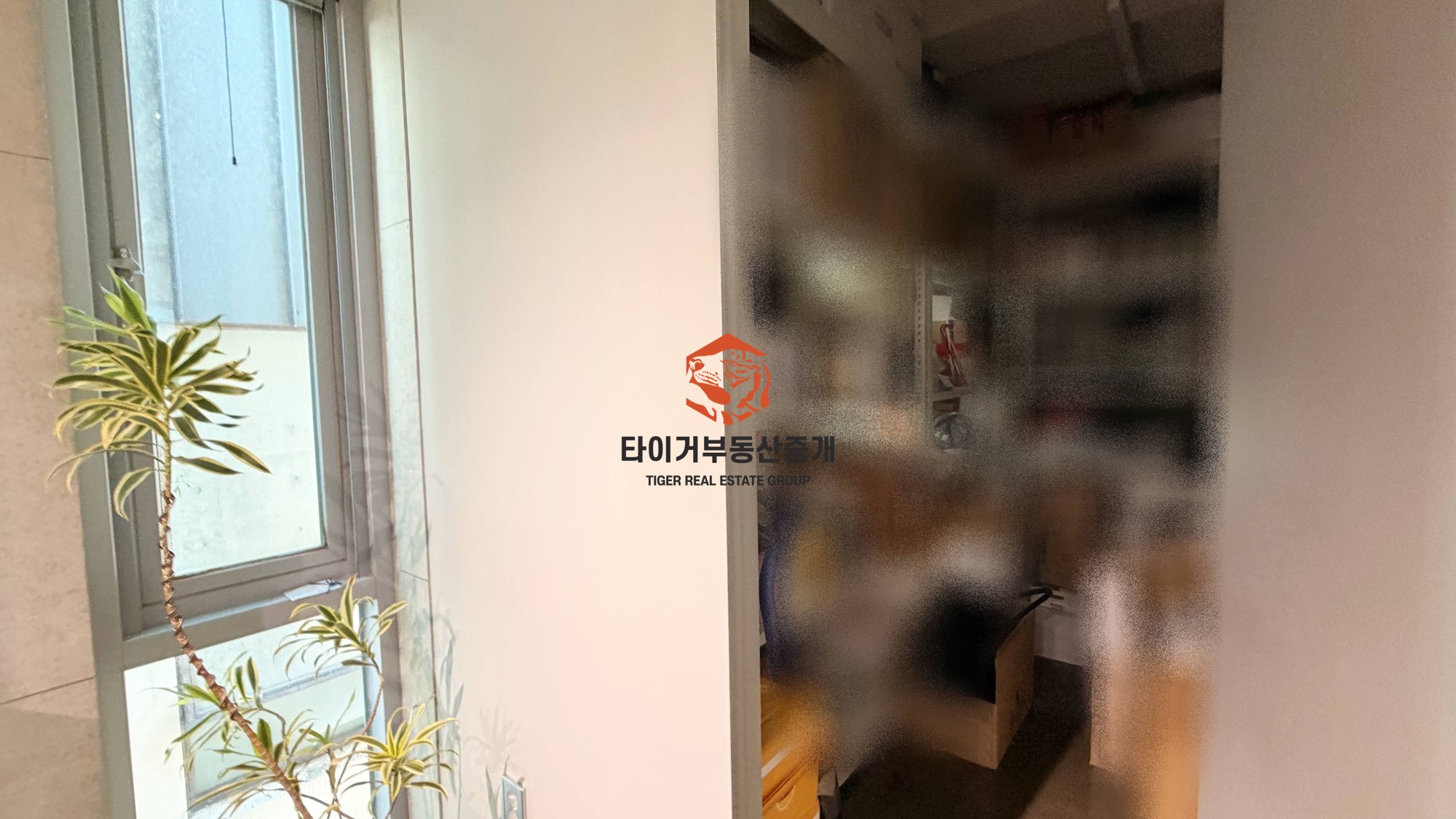 신사동 가로수길 특인테리어 사무실 채광 최강 사진 10