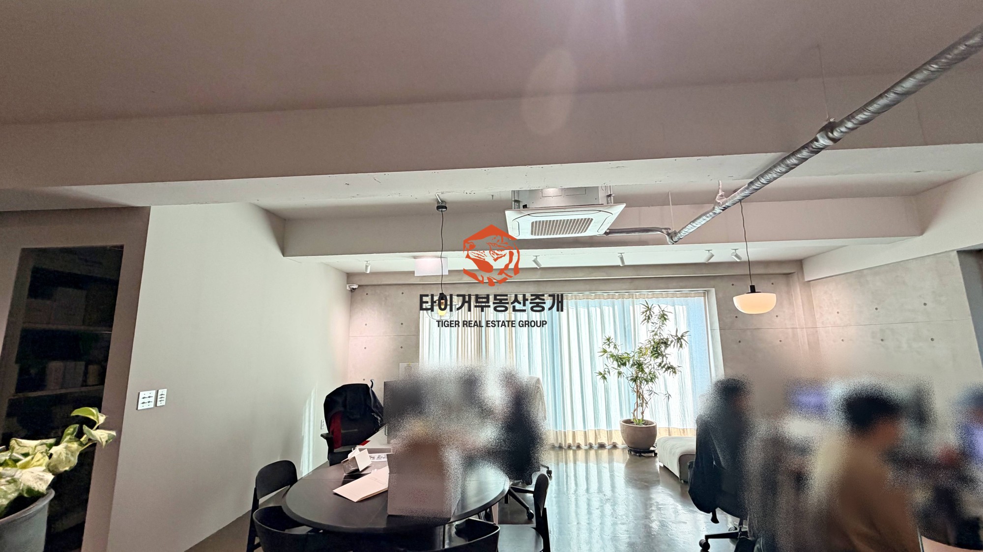 신사동 가로수길 특인테리어 사무실 채광 최강 사진 3